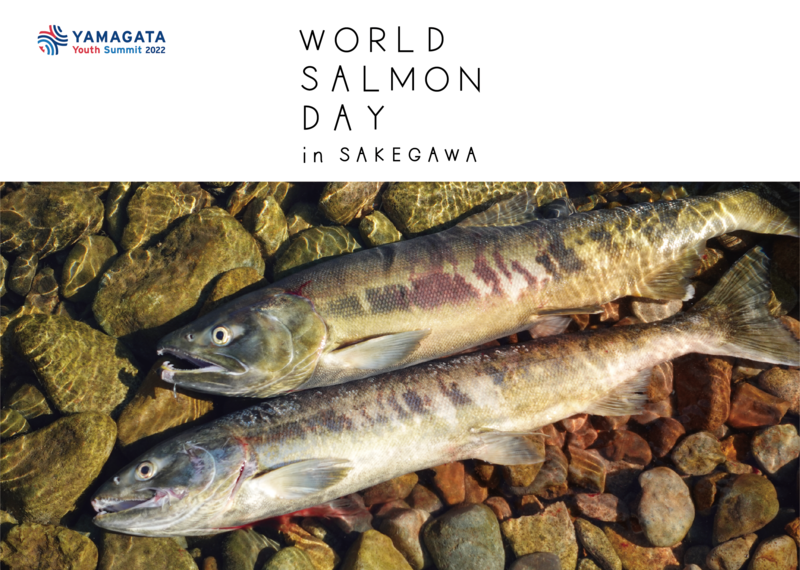 World SALMON DAY in Sakegawa